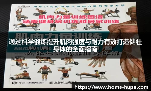 通过科学锻炼提升肌肉强度与耐力有效打造健壮身体的全面指南